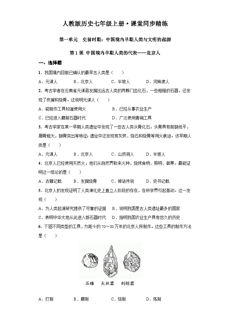 第1课 中国境内早期人类的代表——北京人（含精品解析）-【同步精练】七年级历史上册同步训练（部编版）第1页