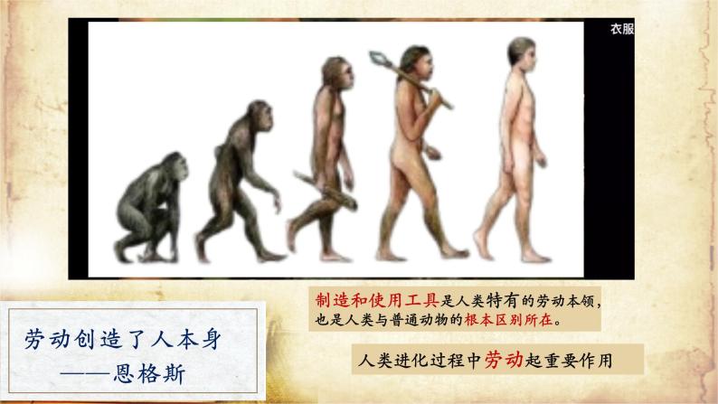 第1课 中国境内早期人类的代表—北京人 课件05