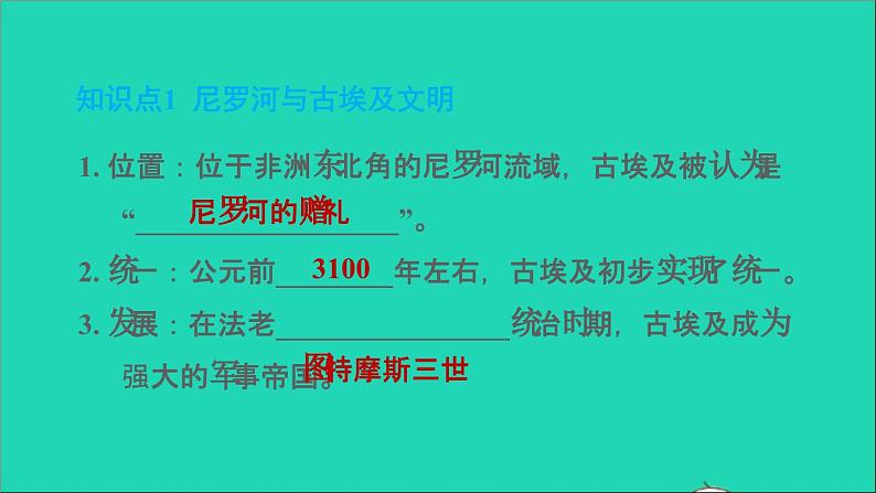 历史人教版九年级上册同步教学课件第1单元古代亚非文明第1课古代埃及204