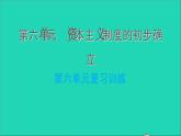 历史人教版九年级上册同步教学课件第6单元资本主义制度的初步确立复习训练