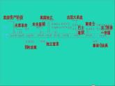 历史人教版九年级上册同步教学课件第6单元资本主义制度的初步确立复习训练