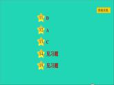 历史人教版九年级上册同步教学课件第6单元资本主义制度的初步确立第17课君主立宪制的英国2