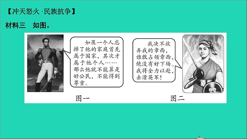 历史人教版九年级下册同步教学课件第1单元殖民地人民的反抗与资本主义制度的扩展考点突破作业第8页