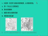 历史人教版九年级下册同步教学课件第3单元第1次世界大战和战后初期的世界考点突破作业