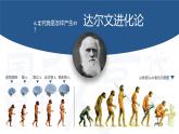 人教部编版七年级上册 第01课 中国早期人类的代表—北京人 课件