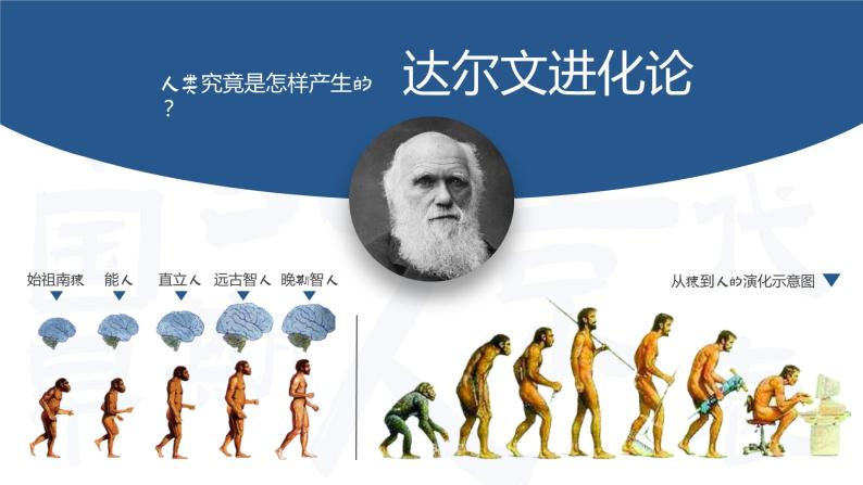 人教部编版七年级上册 第01课 中国早期人类的代表—北京人 课件04