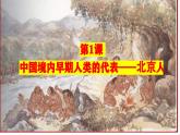 第1课 中国境内早期人类的代表——北京人课件