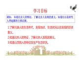 2023-2024 部编版历史七年级上册 1.1 中国境内早期人类的代表——北京人 课件
