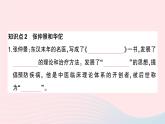 2023七年级历史上册第三单元秦汉时期：统一多民族国家的建立和巩固第15课两汉的科技和文化作业课件新人教版