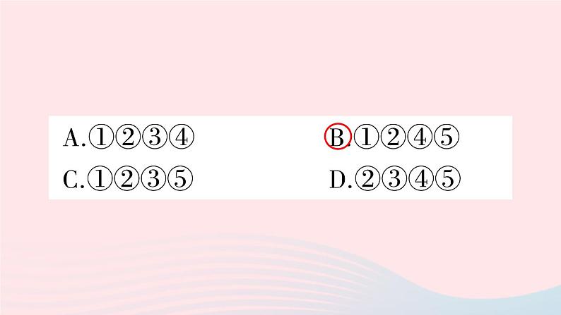 2023七年级历史上册第四单元三国两晋南北朝时期：政权分立与民族交融第19课北魏政治和北方民族大交融作业课件新人教版第5页