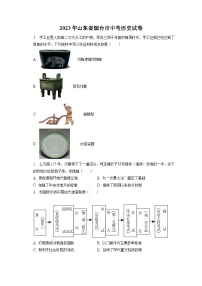 2023年山东省烟台市中考历史试卷（含答案解析）