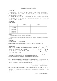 初中历史人教部编版九年级上册第16课 早期殖民掠夺导学案