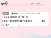 2023八年级历史上册第二单元近代化的早期探索与民族危机的加剧第七课八国联军侵华与辛丑条约签订作业课件新人教版