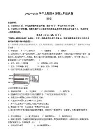 河南省周口市西华县2022-2023学年九年级上学期期末历史试题