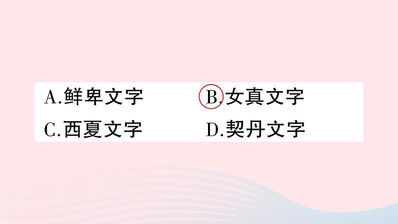 2023七年级历史下册第二单元辽宋夏金元时期：民族关系发展和社会变化第八课金与南宋的对峙作业课件新人教版第3页