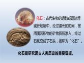 第1课 中国境内早期人类的代表——北京人课件