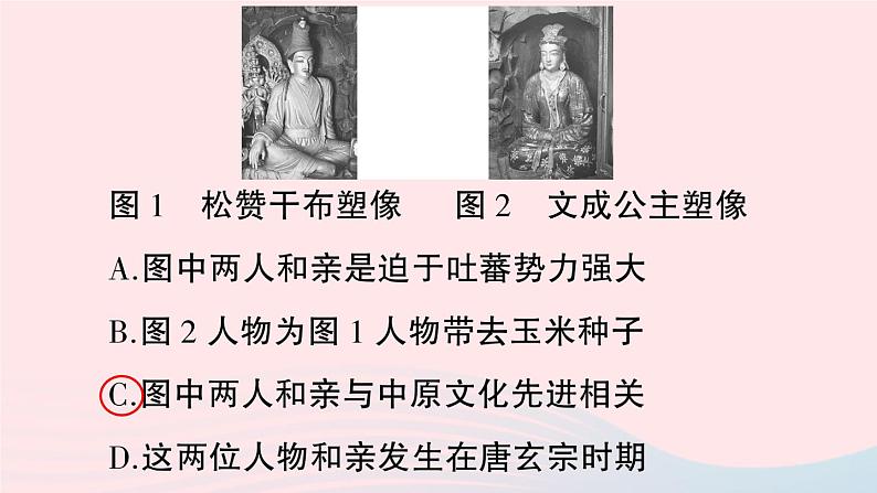 2023七年级历史下册专题三民族交往与对外关系唐至清前朝作业课件新人教版第4页