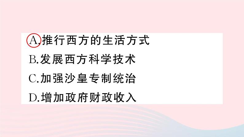 2023九年级历史下册第一单元殖民地人民的反抗与资本主义制度的扩展第二课俄国的改革作业课件新人教版05