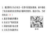 人教版世界历史九年级上册第一单元古代亚非文明第一课古代埃及课件