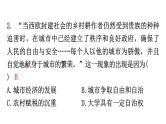 人教版世界历史九年级上册第三单元封建时代的欧洲第九课中世纪城市和大学的兴起课件
