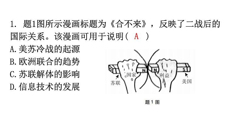 人教版世界历史九年级下册第五、第六单元过关训练课件第3页