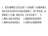 人教版世界历史九年级下册第二单元第七课近代科学与文化作业课件