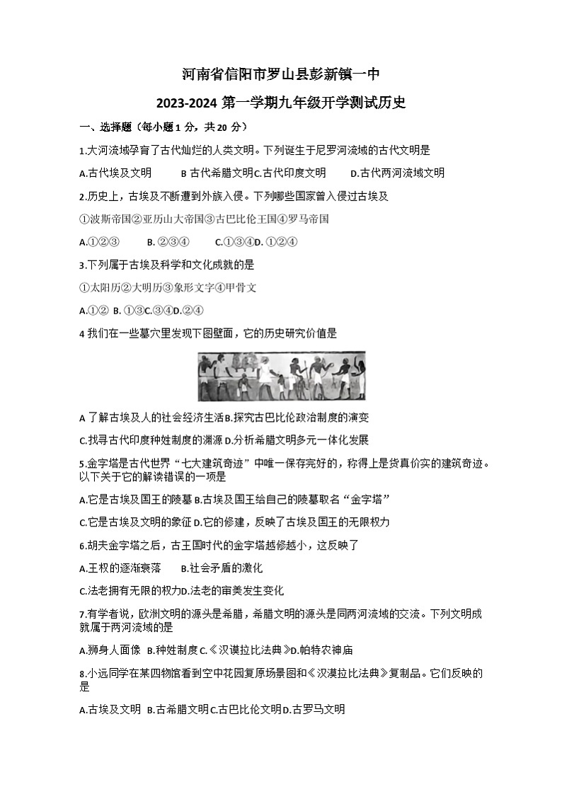 河南省信阳市罗山县彭新镇一中2023-2024学年九年级上学期开学历史试题（含答案）01
