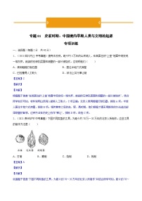 中考历史一轮复习专项训练专题01 史前时期：中国境内早期人类与文明的起源（解析版）