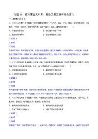 中考历史一轮复习专项训练专题06 辽宋夏金元时期：民族关系发展和社会变化（解析版）