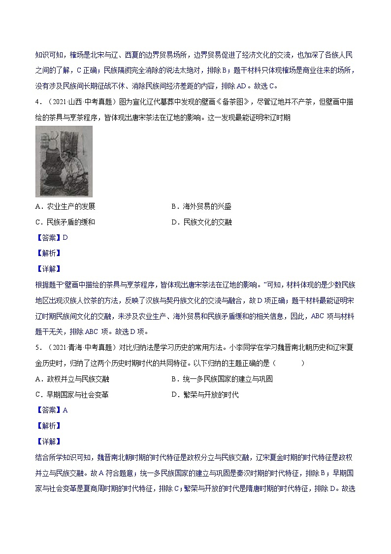 中考历史一轮复习专项训练专题06 辽宋夏金元时期：民族关系发展和社会变化（解析版）第2页