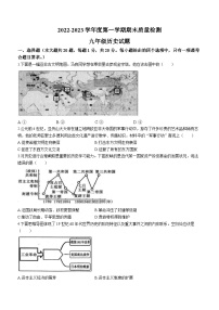 山东省菏泽市鄄城县2022-2023学年九年级上学期期末历史试题