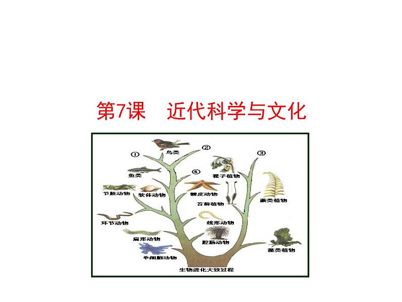 第7课 近代科学与文化第1页