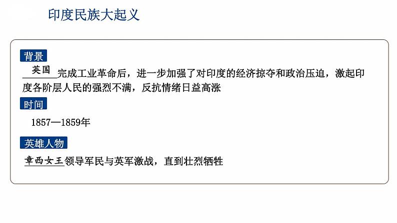 第一单元 殖民地人民的反抗与资本主义制度的扩展 综合复习 课件 2023-2024学年部编版九年级历史下册07