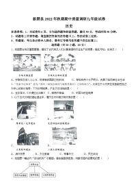 河南省南阳市新野县2022-2023学年九年级上学期期中历史试题