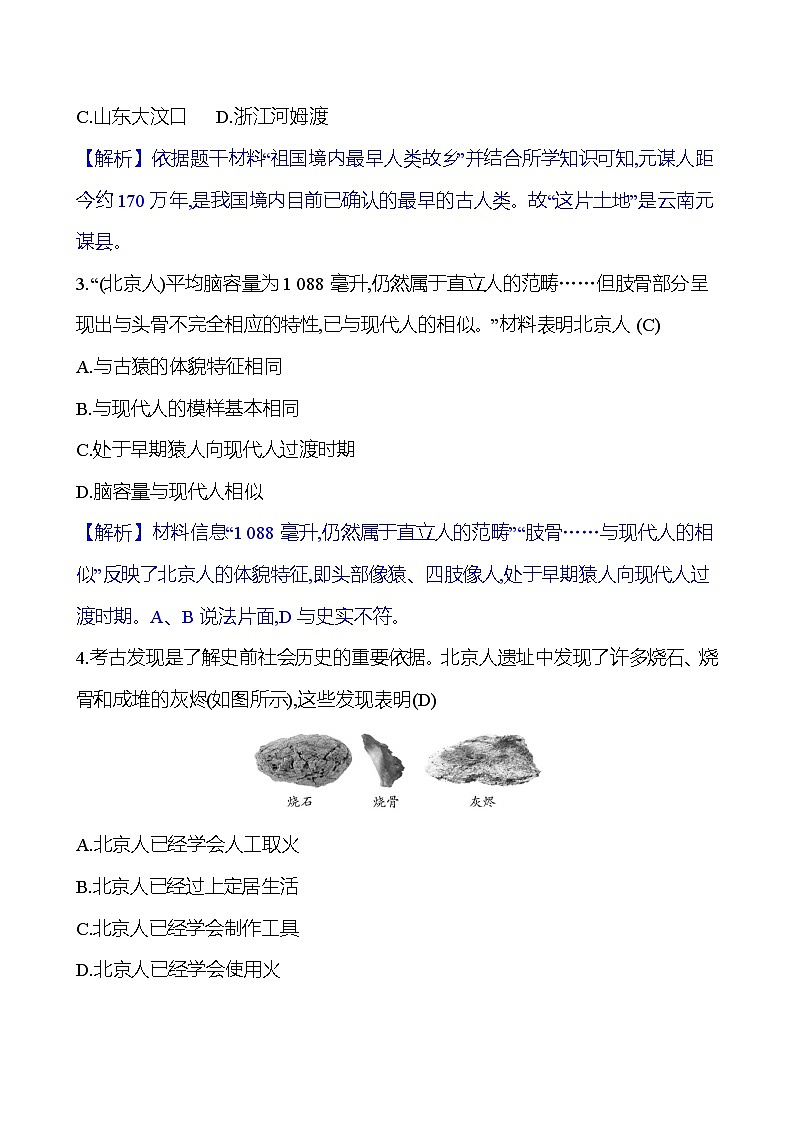 第一单元　第1课　中国境内早期人类的代表——北京人 同步练习（教师版）2023-2024 部编版初中历史七年级上册（湖北专版）第3页