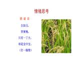 1.2 原始农耕生活 课件 2023-2024 部编版初中历史七年级上册（湖北专版）