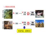 1.2 原始农耕生活 课件 2023-2024 部编版初中历史七年级上册（湖北专版）