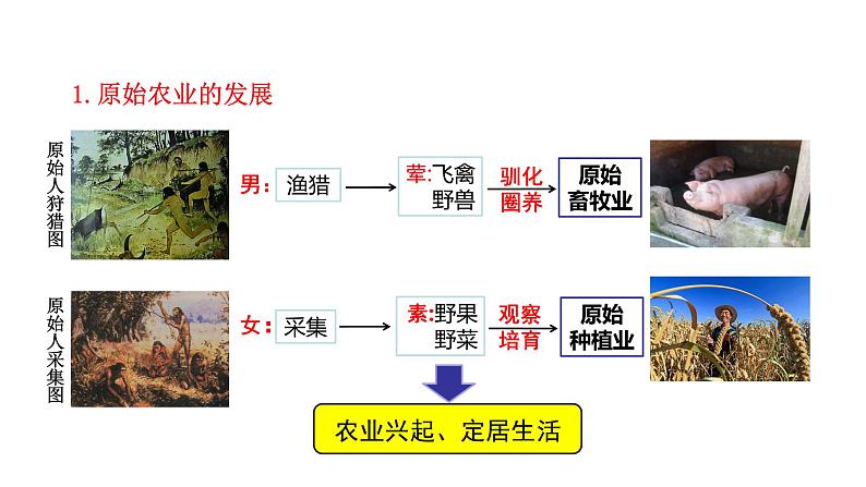 第2课  原始农耕生活.ppt第4页