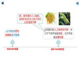 1.2 原始农耕生活 课件 2023-2024 部编版初中历史七年级上册（湖北专版）