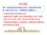 3.15 两汉的科技和文化 课件 2023-2024 部编版初中历史七年级上册（湖北专版）