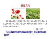 1.1 鸦片战争 课件 2023-2024 部编版初中历史八年级上册(深圳)
