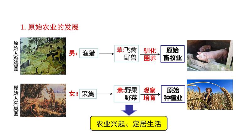 第2课  原始农耕生活.ppt第4页