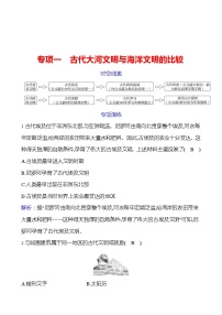 专项一   古代大河文明与海洋文明的比较 同步练习2023-2024 部编版历史 九年级上册