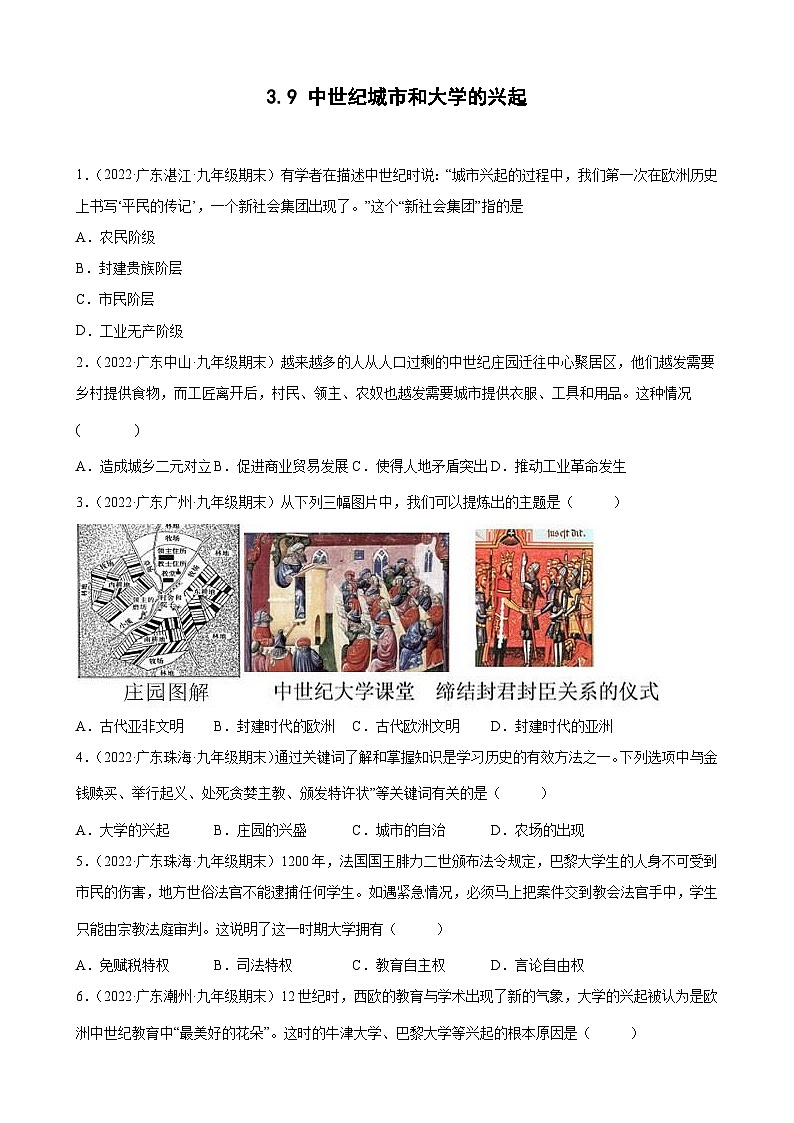 第9课中世纪城市和大学的兴起 期末试题分类选编---2022-2023学年上学期广东省各地九年级历史期末试题分类选编 （含解析）01
