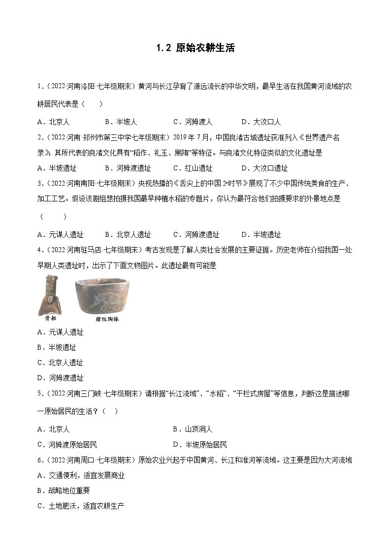 第2课原始农耕生活  期末试题分类选编---2022-2023学年河南省各地七年级上学期历史（含解析）01