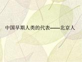 2023-2024学年部编版历史七年级上册 第1课 中国早期人类的代表 精品课件