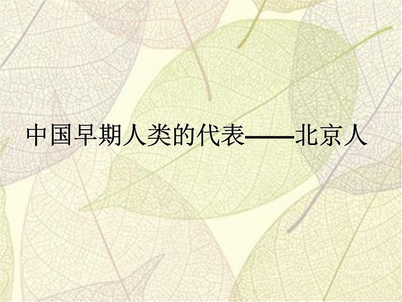 2023-2024学年部编版历史七年级上册 第1课 中国早期人类的代表 精品课件02