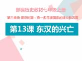 2023-2024学年部编版历史七年级上册 第13课 东汉的兴亡 精品课件