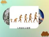 第1课中国早期人类的代表—北京人 课件