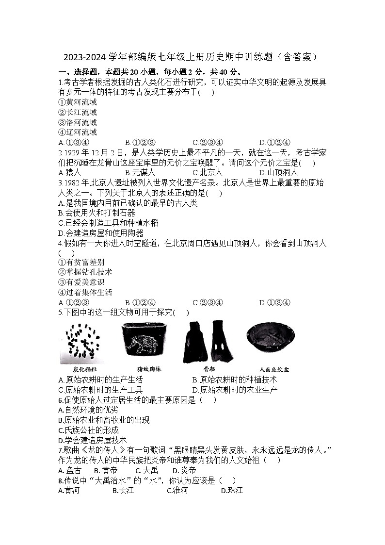 2023-2024学年部编版七年级上册历史期中训练题（含答案）01